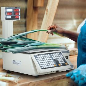 Electronic Price Computing Scale, 66 LB Digital Deli Weight Scales, LCD & LED Digital Commercial Food Fruit Meat Produce Counting Weight, For Ret (Option: White)